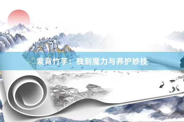 紫背竹芋：独到魔力与养护妙技