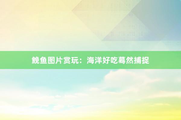 鮸鱼图片赏玩：海洋好吃蓦然捕捉