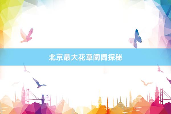 北京最大花草阛阓探秘