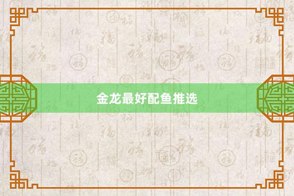 金龙最好配鱼推选